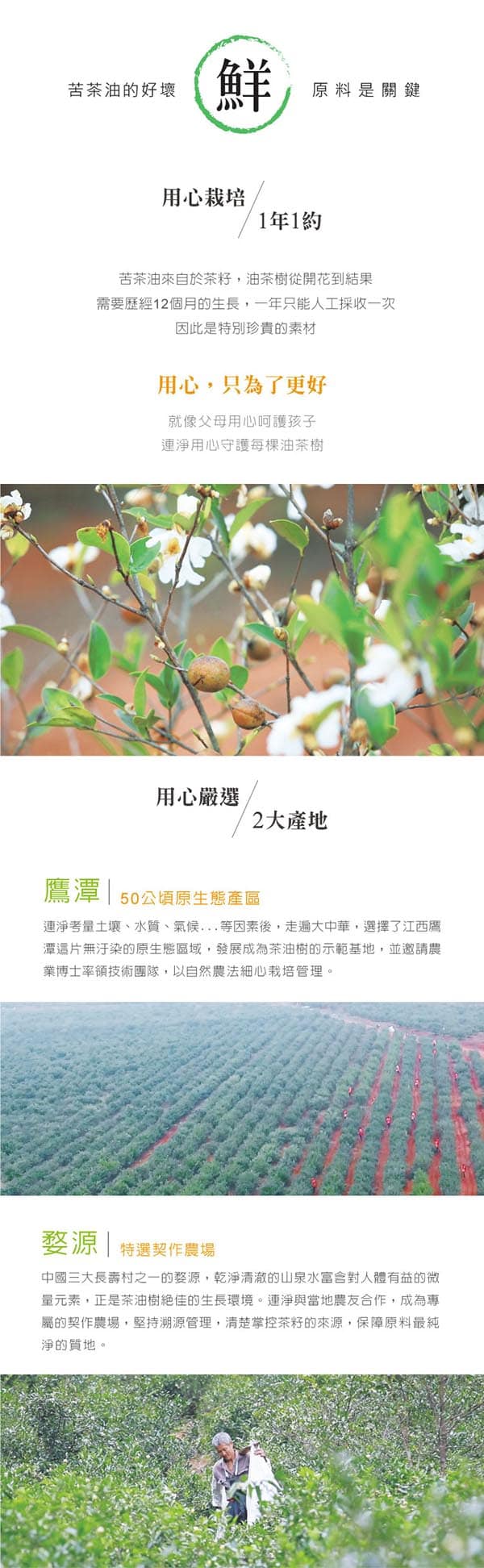 【連淨】苦茶油（山茶油）