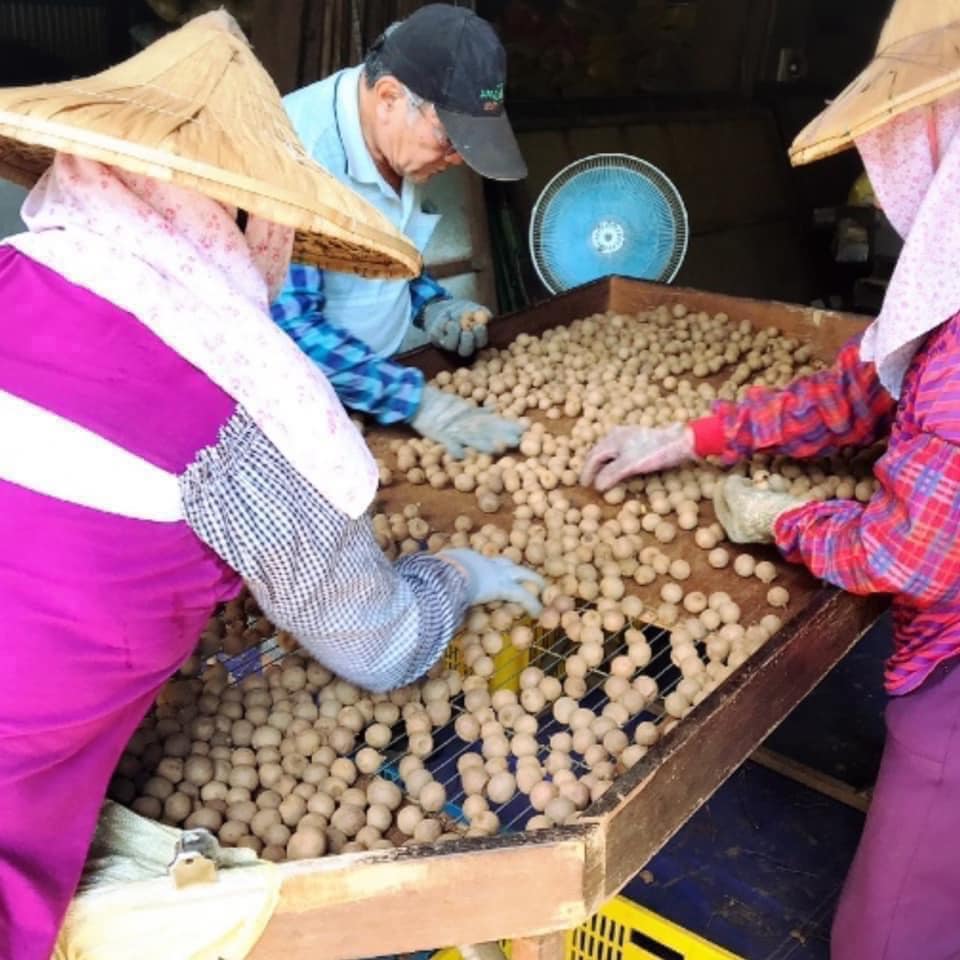 台灣東山🇹🇼柴燒窯焙龍眼乾600g 牛皮紙袋真空包裝