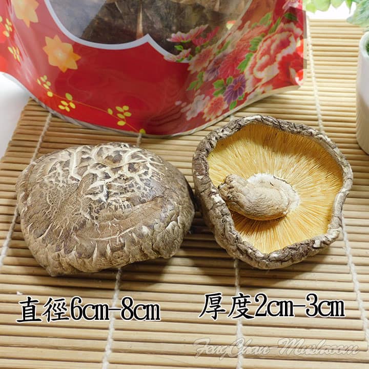 《南投仁愛鄉》特大朵台灣椴木花菇