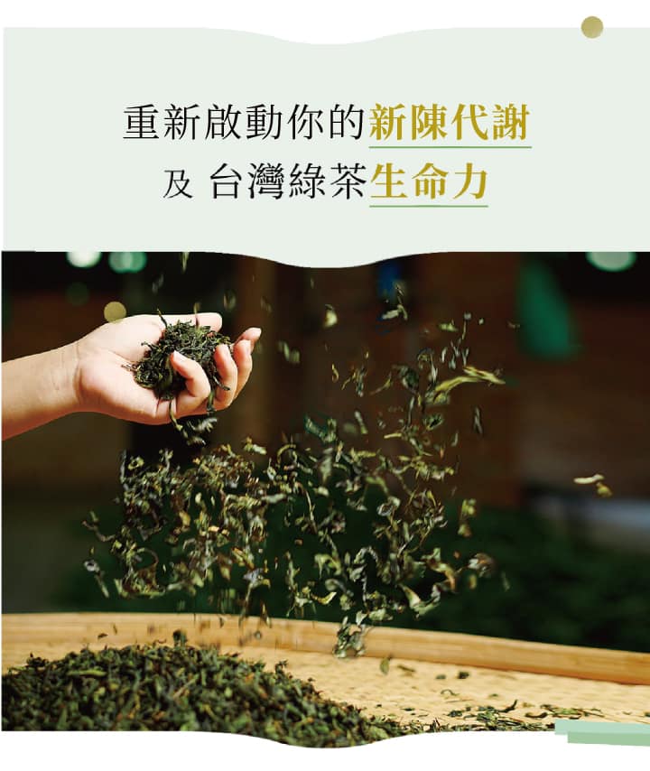 【高速新陳代謝｜30秒冷泡茶】兒茶素綠茶30入