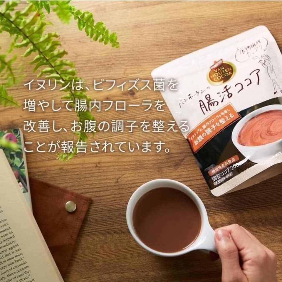 日本 VAN HOUTEN COCOA 可可粉